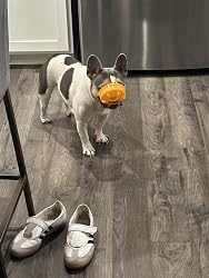 Galería imagen 24