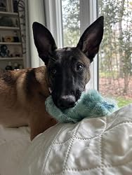 Galería imagen 13