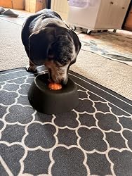 Galería imagen 1