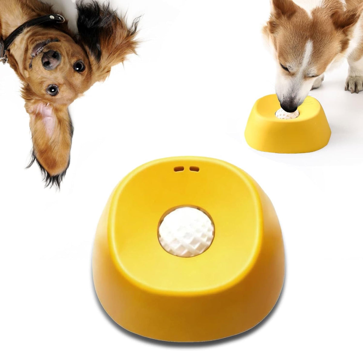 Lick and Roll Bowl for Dogs