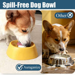 Lick and Roll Bowl for Dogs 2